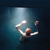 人形社恐警报器的头像-33 Share