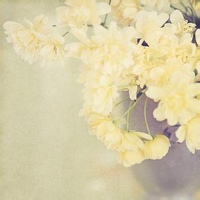 情绪废柴的头像-33 Share