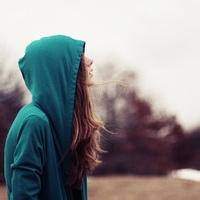 青木参天的头像-33 Share