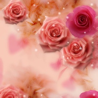 闷骚包的头像-33 Share