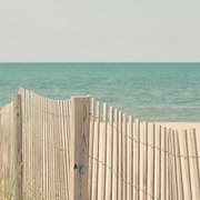 书页梦的头像-33 Share